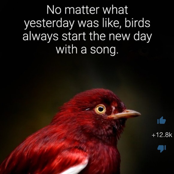 Meet your Posher, DR - Picture 8 of 16